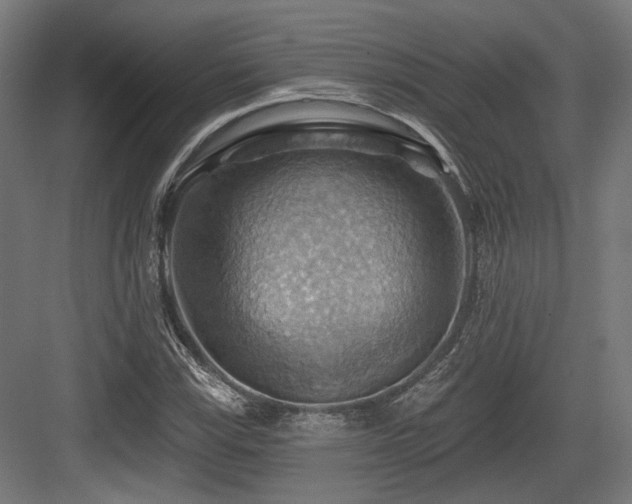 X0000083971115200702161056