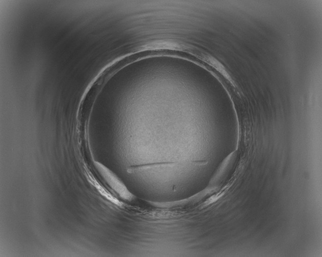 X0000083971116200702161056