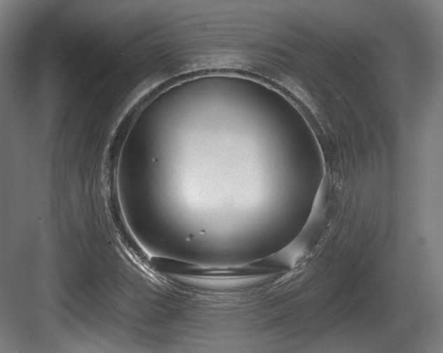 X0000083971119200702161056