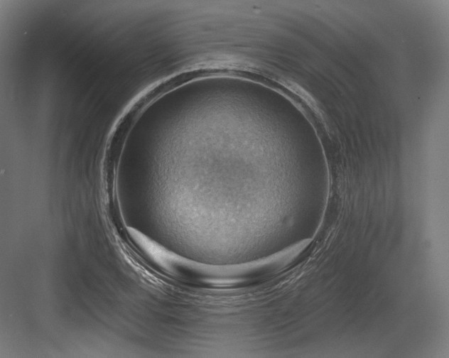 X0000083971120200702161056