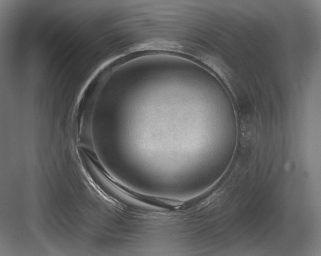 X0000083971123200702161056