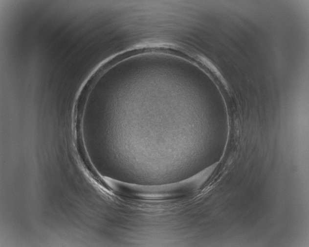 X0000083971124200702161056