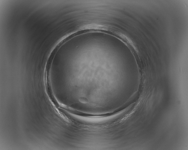 X0000083971125200702161056