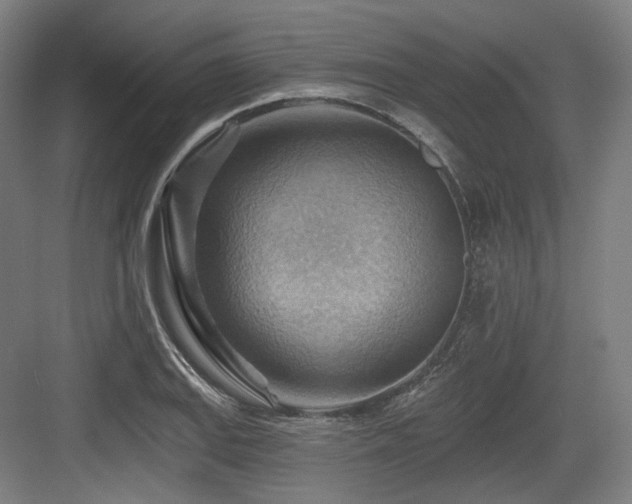 X0000083971127200702161056