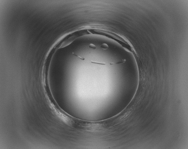 X0000083971131200702161056