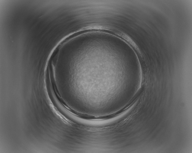 X0000083971132200702161056