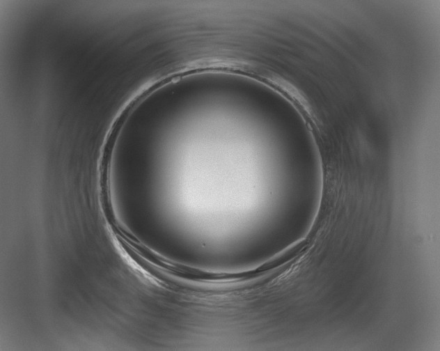 X0000083971135200702161057