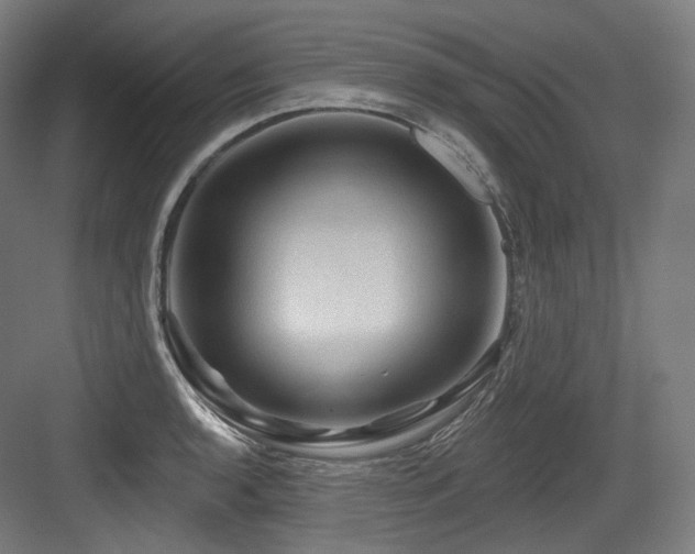 X0000083971136200702161057