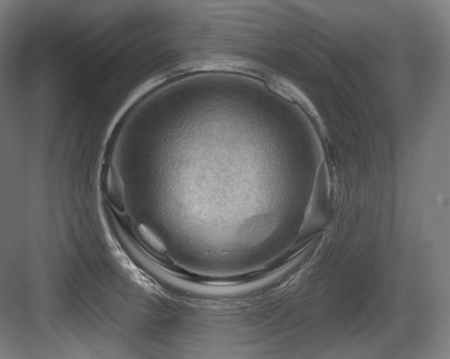 X0000083971138200702161057