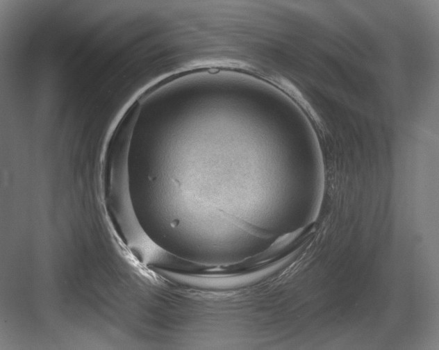 X0000083971140200702161057