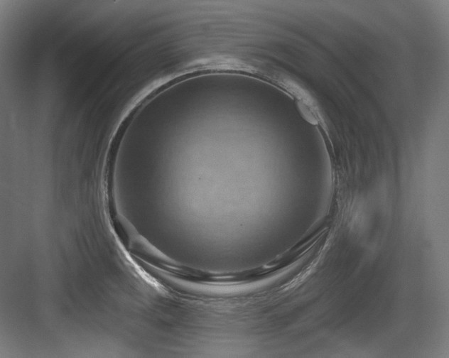 X0000083971141200702161057