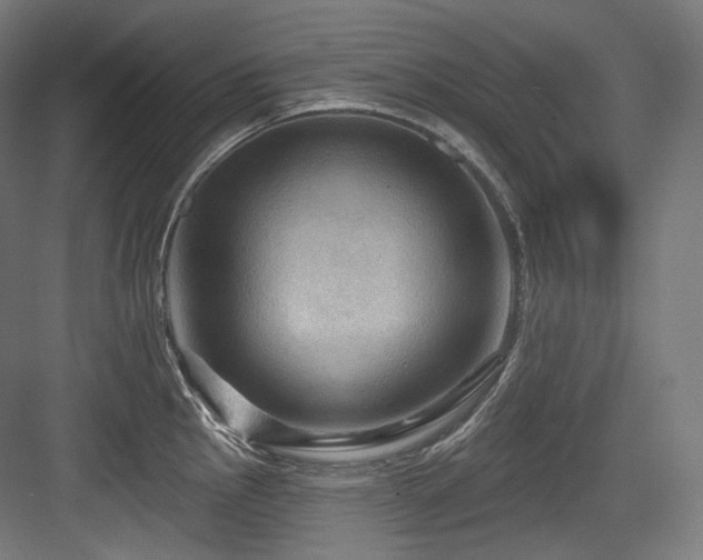 X0000083971145200702161057