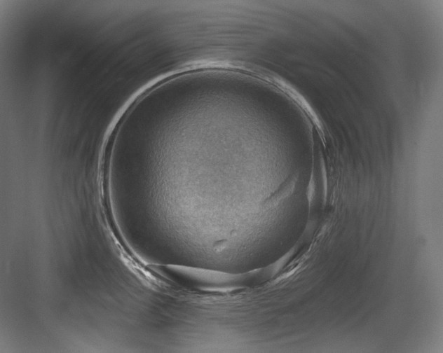 X0000083971148200702161057