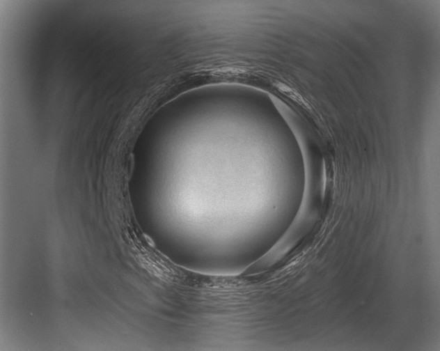 X0000083971153200702161056