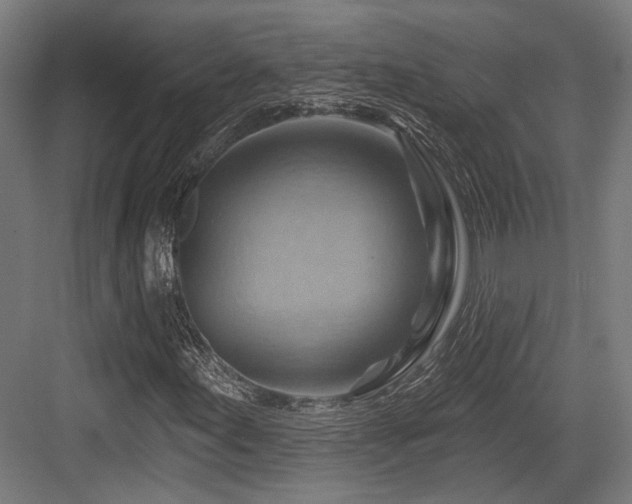 X0000083971155200702161056