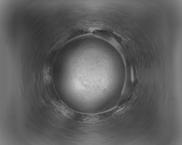 X0000083971156200702161056