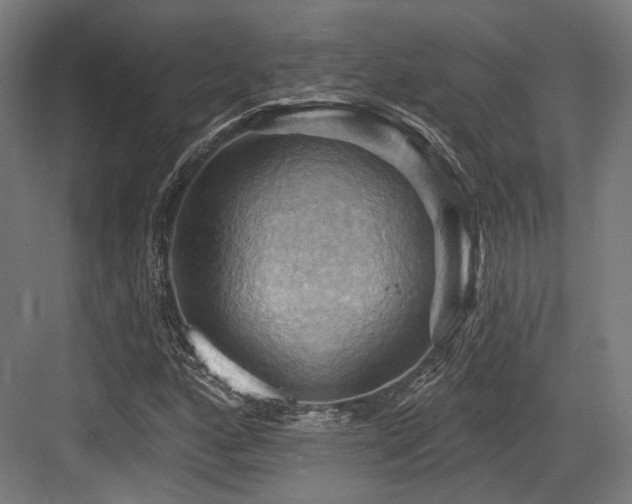 X0000083971160200702161056