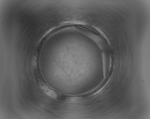 X0000083971163200702161056