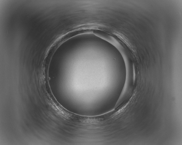 X0000083971164200702161056