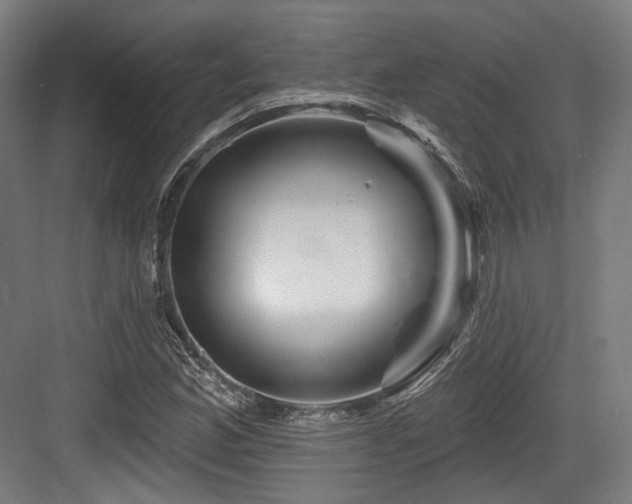 X0000083971165200702161056