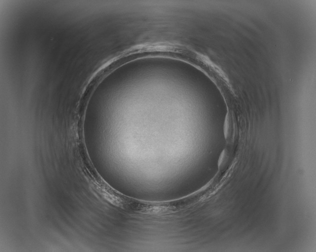 X0000083971166200702161056
