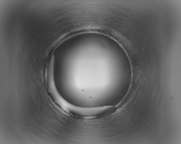 X0000083971169200702161056