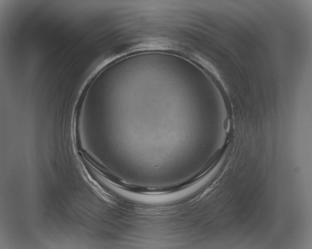 X0000083971179200702161056
