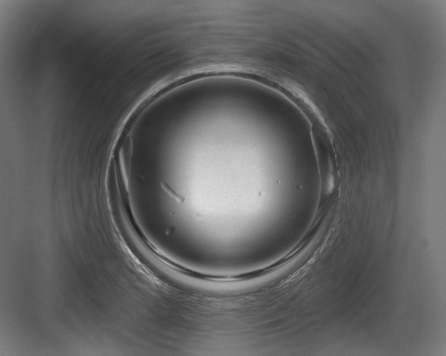 X0000083971181200702161056