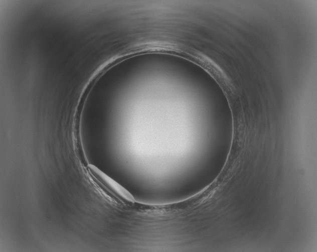 X0000083971182200702161056