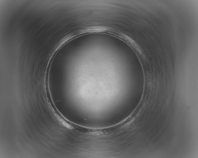 X0000083971186200702161055