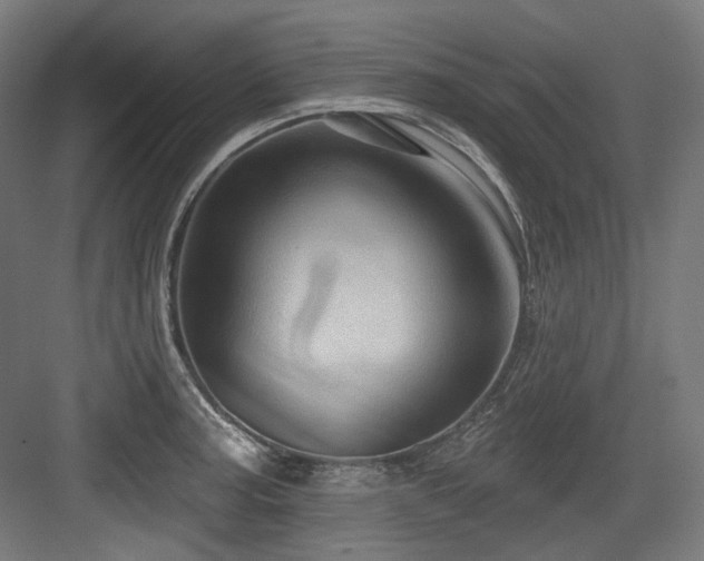 X0000083971187200702161055