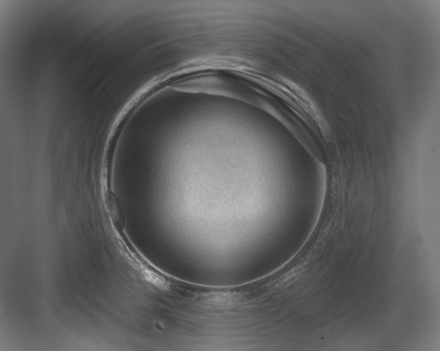X0000083971188200702161055