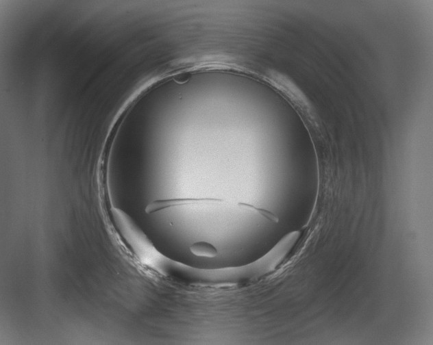 X0000083971190200702161055