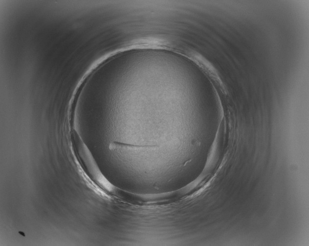 X0000083971192200702161055