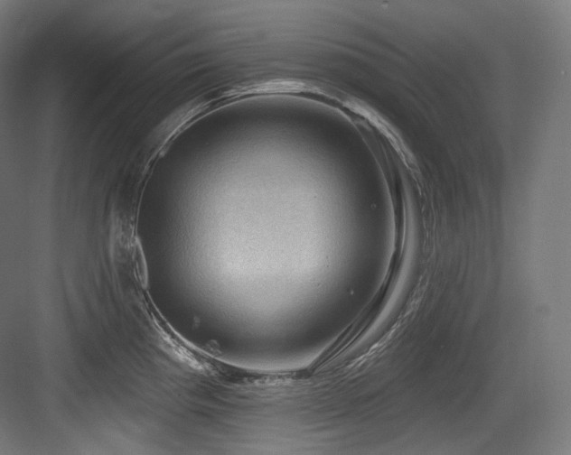X0000083971193200702161055