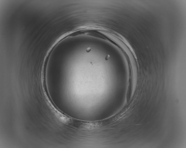 X0000083971195200702161055