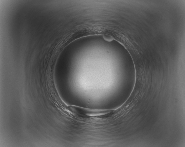 X0000083971201200702161054