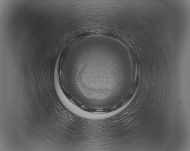 X0000083971202200702161054
