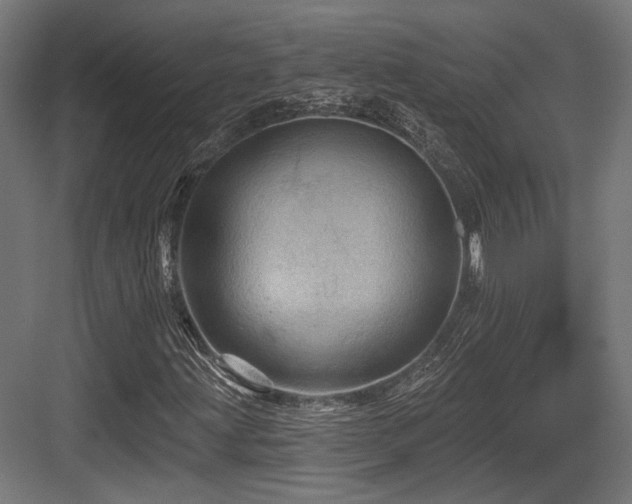 X0000083971203200702161054