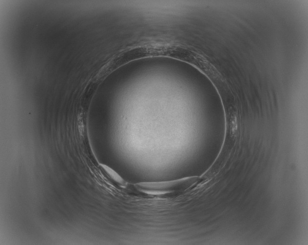 X0000083971204200702161054