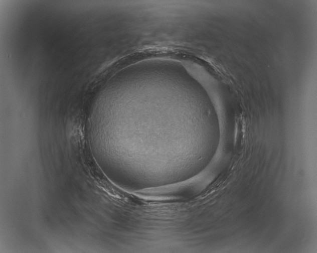 X0000083971206200702161054
