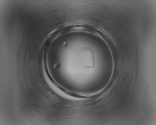 X0000083971210200702161055