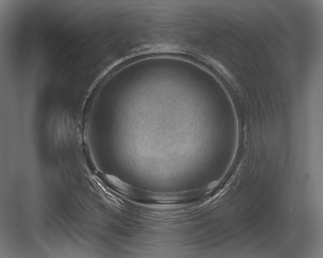 X0000083971212200702161055
