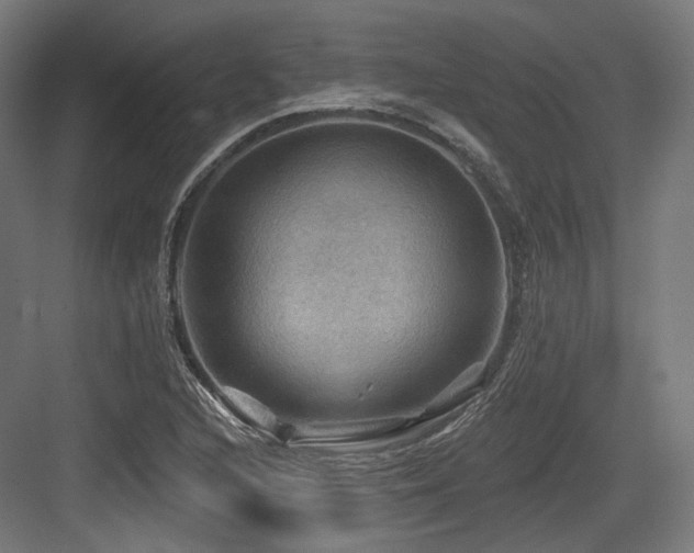 X0000083971216200702161055