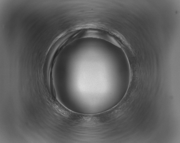X0000083971218200702161055
