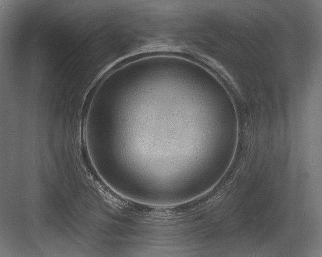 X0000083971220200702161055