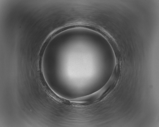 X0000083971222200702161055