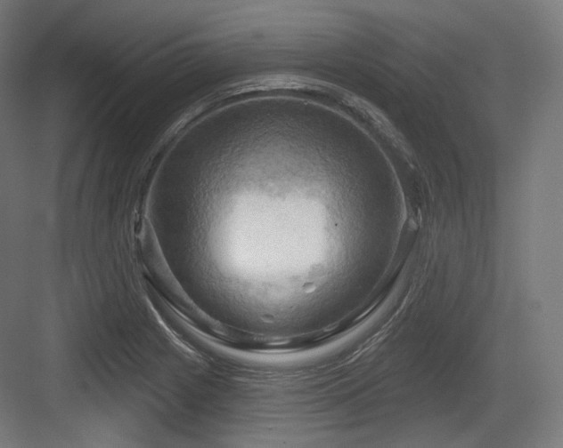 X0000083971225200702161055
