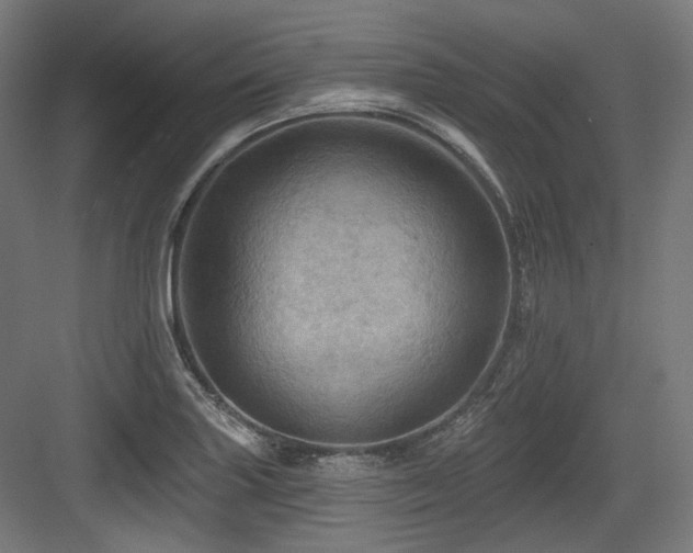 X0000083971227200702161055