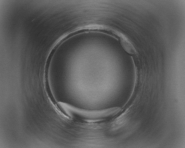 X0000083971229200702161055